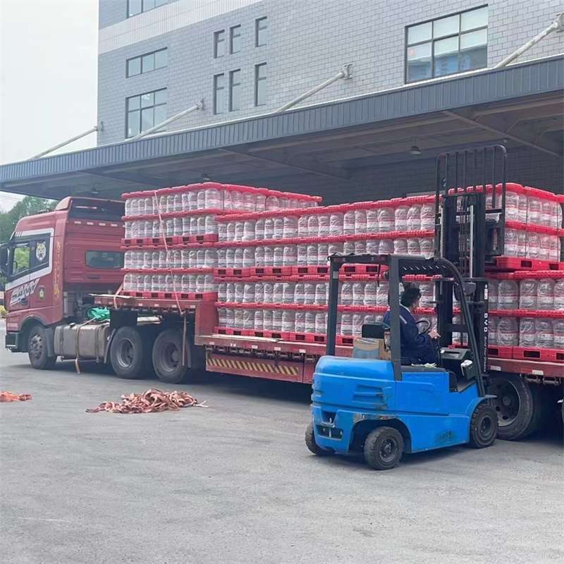 大安镇延平区物流：多元运输服务的魅力探索